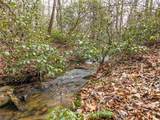 LT 167 Henderson Mountain Road - Photo 7