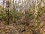 LT 167 Henderson Mountain Road - Photo 9