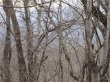 Lot 29 Long Mountain Trail - Photo 11