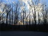 Lot 29 Long Mountain Trail - Photo 12