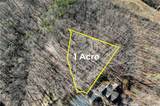 Lot 29 Long Mountain Trail - Photo 32