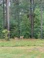 1270 Mcgarity Road - Photo 54