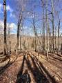 8041 Wilderness Parkway - Photo 2