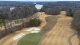 129 Blue Heron Bluff - Photo 63