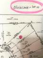 Lot 10 Olivia Lane - Photo 5