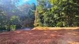 Lot 1 Snote Jones Road - Photo 10