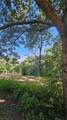 Lot 2 Snote Jones Road - Photo 17
