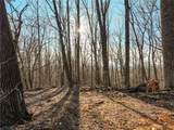 Lot 3 Mount Mincie Road - Photo 30