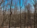 Lot 8 Mount Mincie Road - Photo 9