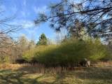 0 Skelton Road - Photo 2
