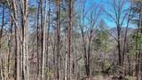 LOT 10 Butternut S/D / Firefly Ridge - Photo 2