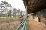 31 Old Hardin Bridge Road - Photo 114