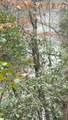 00Lot1 N Helton Road - Photo 4