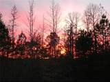 2025 Soap Creek Road - Photo 21