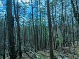 LT 30 Eagle Ridge Road - Photo 10