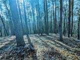 LT 30 Eagle Ridge Road - Photo 11
