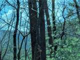 LT 30 Eagle Ridge Road - Photo 2