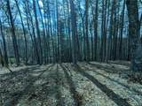 LT 30 Eagle Ridge Road - Photo 5