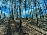 LT 30 Eagle Ridge Road - Photo 6
