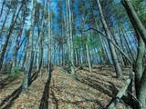 LT 30 Eagle Ridge Road - Photo 9