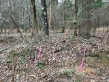Tct 3 Popham Road - Photo 12