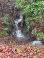 156 Cold Stream Trail - Photo 14