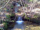 156 Cold Stream Trail - Photo 2