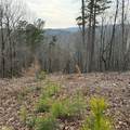 316 Pebble Trace Street - Photo 19