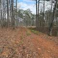 316 Pebble Trace Street - Photo 26