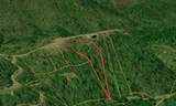 0 Gold Mine Knob - Photo 22