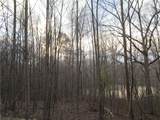 Lot 49 Long Mountain Trail - Photo 8