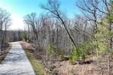 Lot 21 Long Mountain Trail - Photo 12