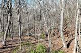 Lot 21 Long Mountain Trail - Photo 14