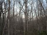 Lot 21 Long Mountain Trail - Photo 30