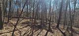 00001 Friendship Trail - Photo 8