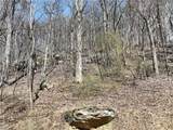 243 Dragon Trail - Photo 24
