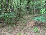 1634 Carman Way - Photo 3