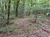 1634 Carman Way - Photo 4