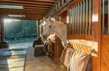 3055A Spring Hill Drive - Photo 51