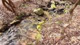 8072 Doublehead Gap Road - Photo 6