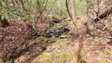8072 Doublehead Gap Road - Photo 7