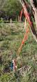 000 Lower Mill Road - Photo 2