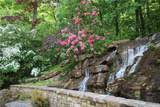 1024 Bear Paw Ridge - Photo 41