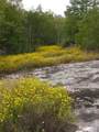 0000 Rabbit Farm Road - Photo 14