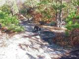 0000 Rabbit Farm Road - Photo 20