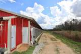 876 Wood Station Road - Photo 15