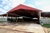 876 Wood Station Road - Photo 25