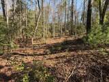 0 Black Falls Road - Photo 4