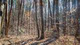 Lot 26 Waldrip Road - Photo 3