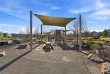 215 3rd Street - Photo 60